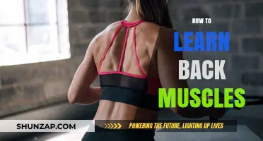Strengthening Your Back: A Comprehensive Guide to Muscle Development