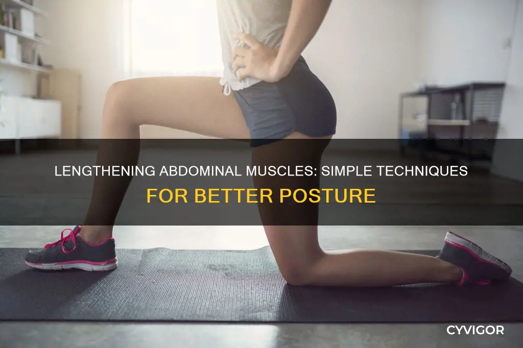 how to lengthen abdominal muscles