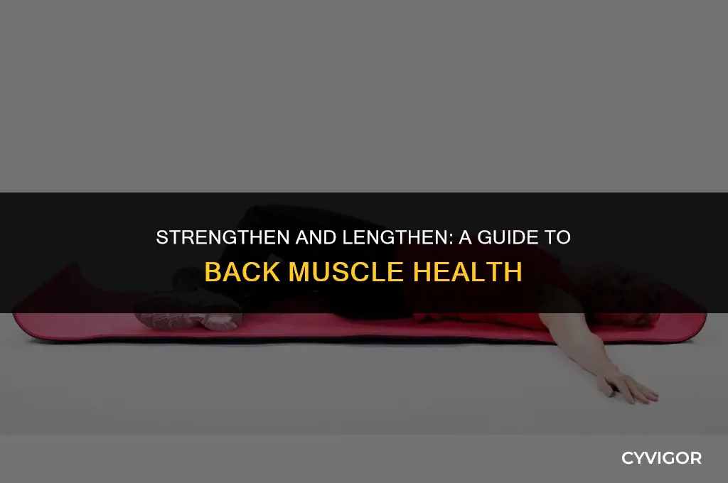 how to lengthen back muscles
