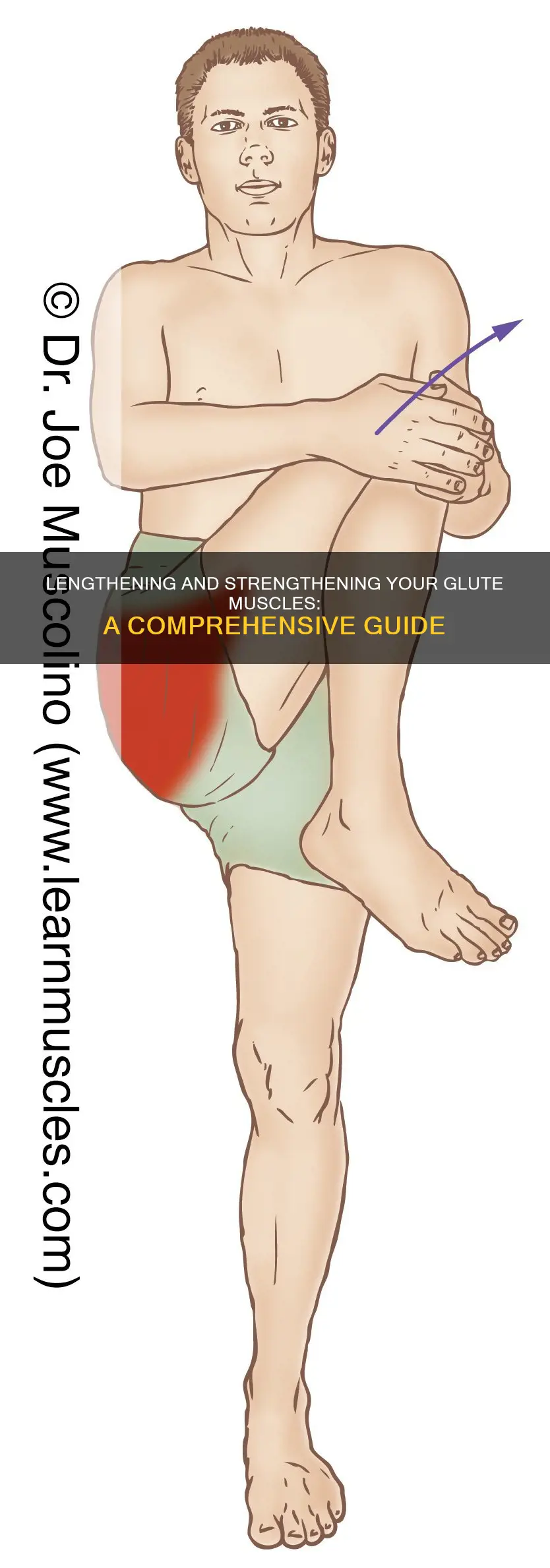 how to lengthen glute muscles