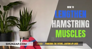 Lengthening and Strengthening Your Hamstrings: A Comprehensive Guide