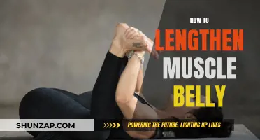 Unlock Longer Muscle Belly with These Simple Techniques