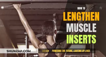 Unlock Longer Muscle Inserts: Simple Strategies for Effective Results
