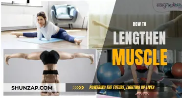Unlocking Longer Muscles: Strategies for Effective Lengthening