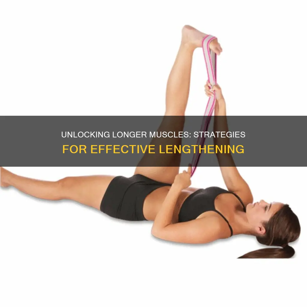 how to lengthen muscle
