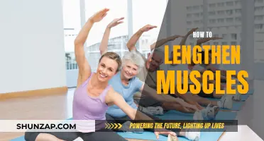 Lengthening Muscles: Techniques for Flexibility and Performance