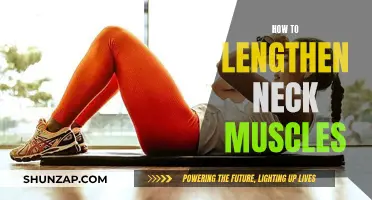 Lengthening and Strengthening Your Neck Muscles: A Comprehensive Guide
