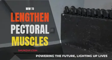 Lengthening and Strengthening Your Pectoral Muscles: A Comprehensive Guide