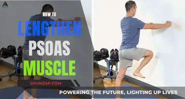Unlocking Psoas Muscle Flexibility: Simple Tips for Lengthening