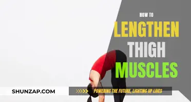 Thigh Muscle Flexibility: Simple Ways to Lengthen and Strengthen