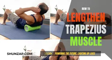 Lengthening and Loosening Your Trapezius Muscle: Tips and Tricks