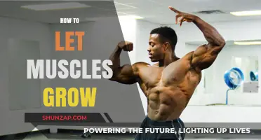 Unlock Muscle Growth: Proven Strategies for Strength and Size