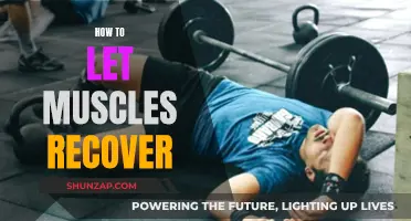 Muscle Recovery: Strategies for Optimal Performance and Health