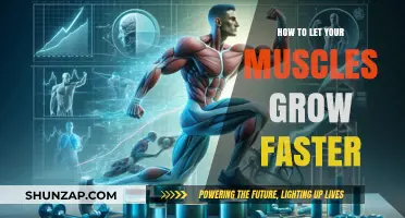 Accelerate Muscle Growth: Proven Strategies for Faster, Stronger Results