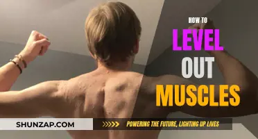 Balancing Your Body: Achieving Muscle Symmetry