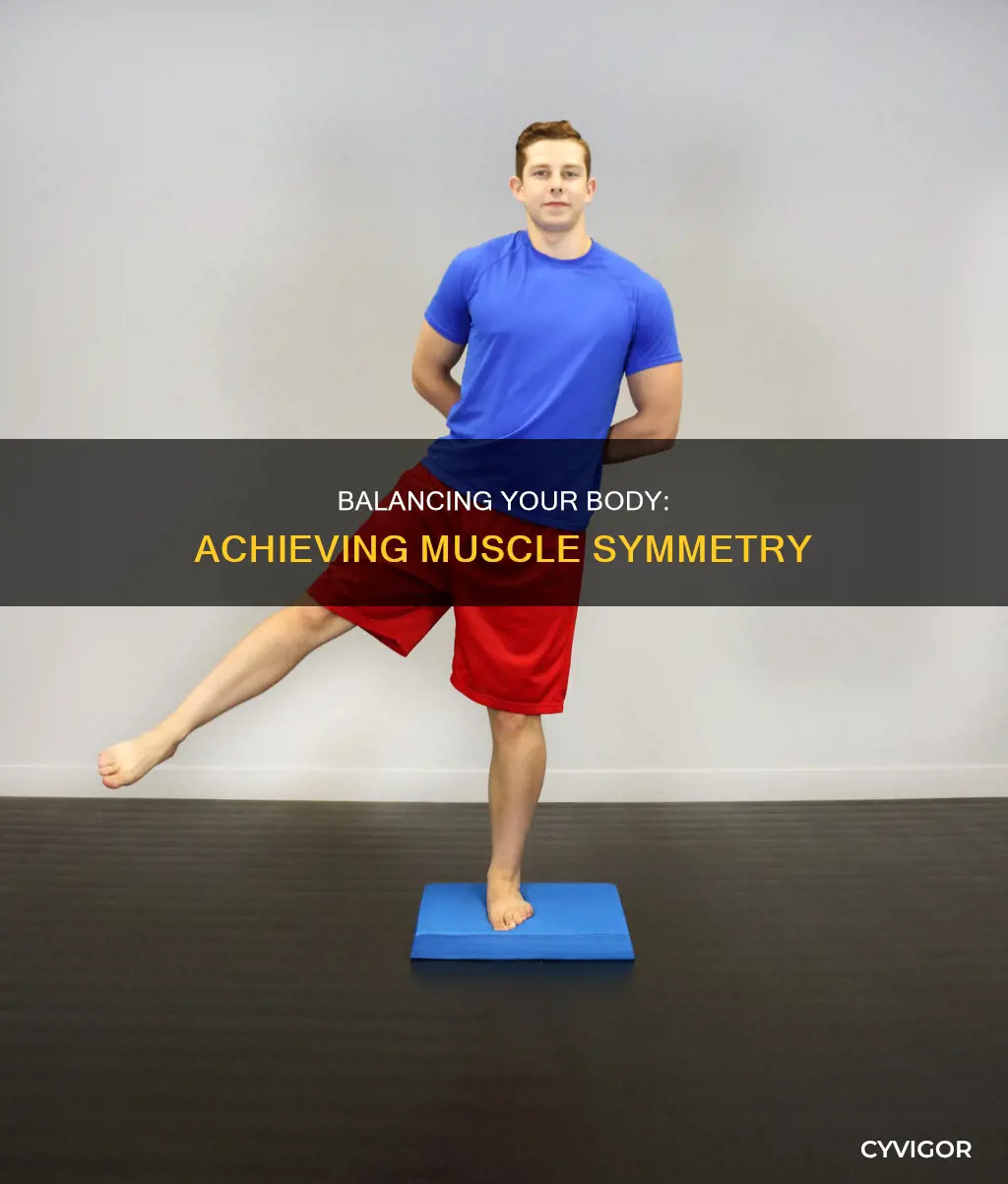 how to level out muscles