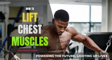 Lift Your Chest: Simple Muscle-Building Workouts and Techniques