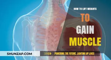 Master Muscle Growth: Effective Weight Lifting Techniques for Strength Gains
