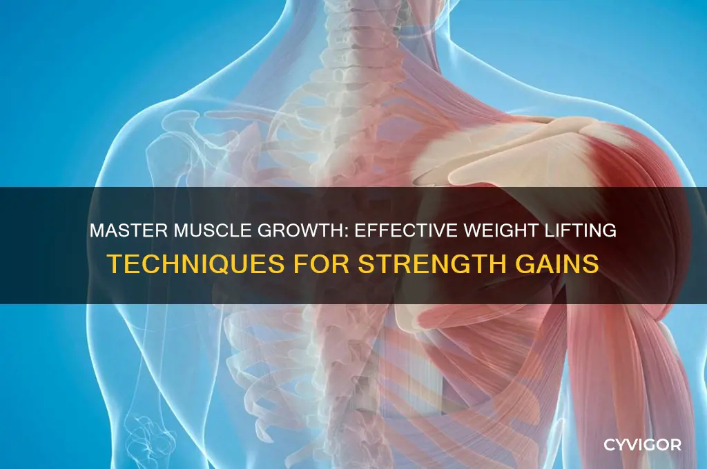 how to lift weights to gain muscle