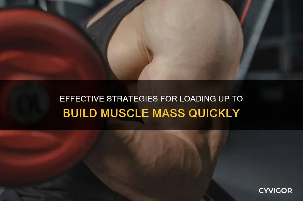 how to load to gain muscle weight