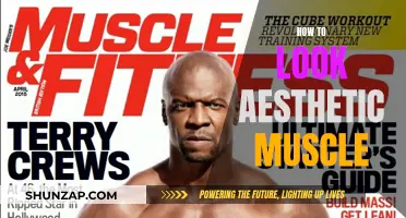 Building Aesthetic Muscles: Tips for a Toned Physique
