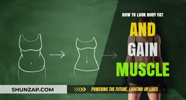 Transform Your Physique: Strategies to Build Muscle and Reduce Body Fat
