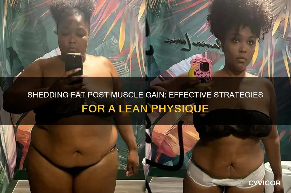 how to loose fat after gaining muscle