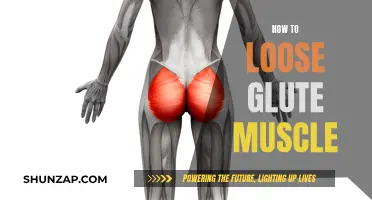 Strategies to Reduce Glute Muscle Bulk