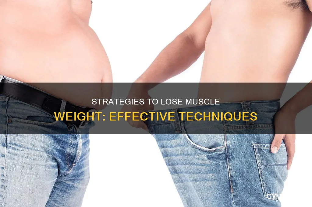 how to loose muscle weight