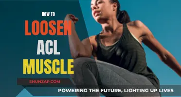 Loosening Your ACL Muscle: Techniques for Relief and Recovery
