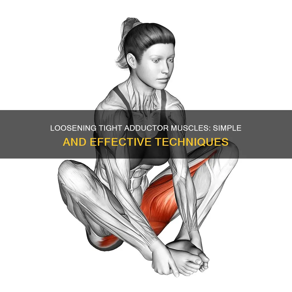 how to loosen adductor muscles