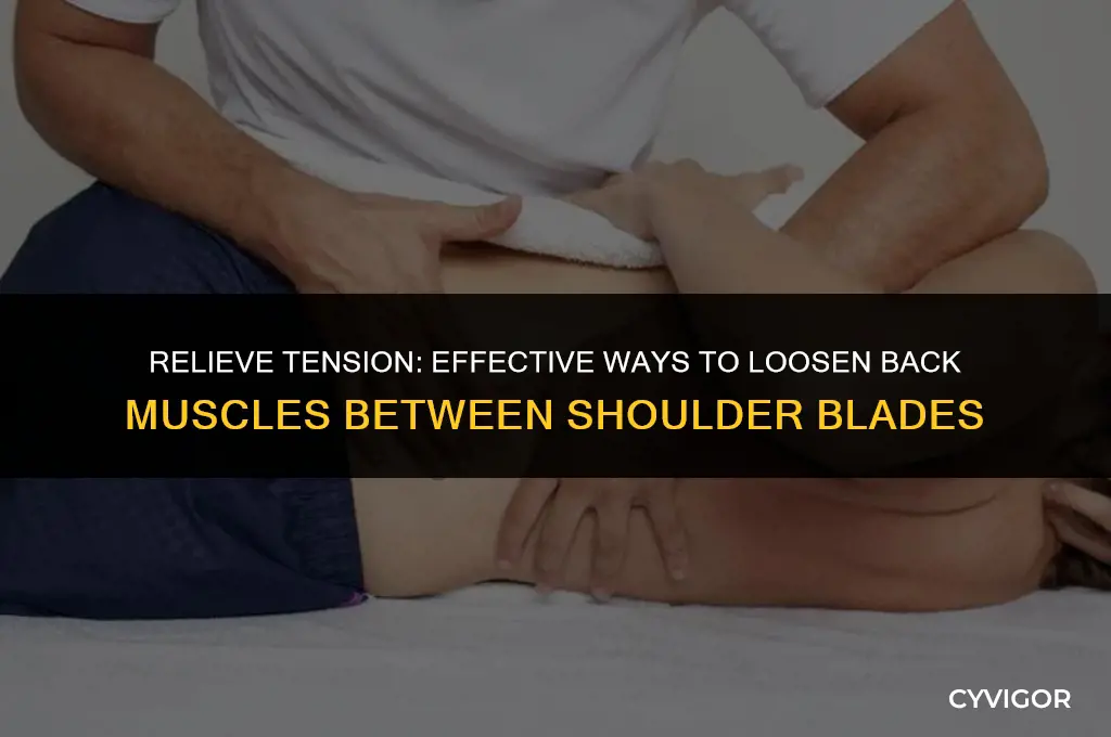how to loosen back muscles between shoulder blades