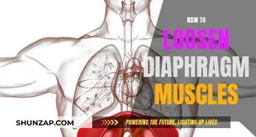 Loosening Diaphragm Muscles: Techniques for Relaxation and Improved Breathing