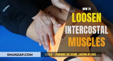 Loosening Intercostal Muscles: Techniques for Relief and Better Breathing