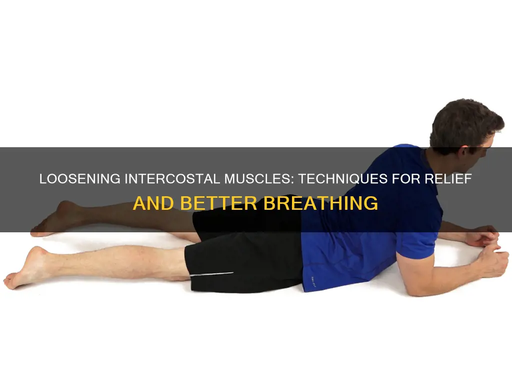 how to loosen intercostal muscles