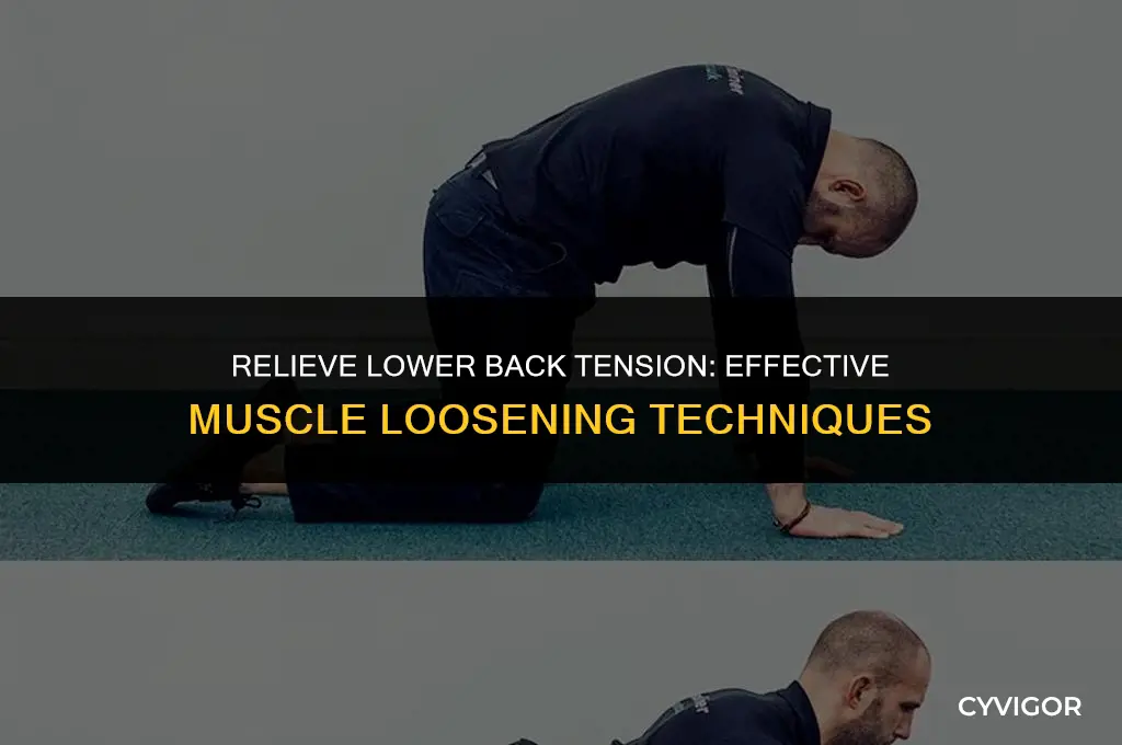 how to loosen lower back muscle