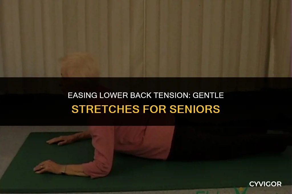 how to loosen lower back muscles for elderly