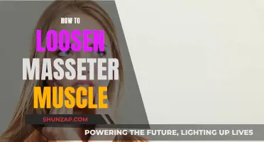 Loosening the Masseter Muscle: Techniques for Relaxation and Relief