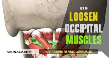 Loosening Tight Occipital Muscles: Simple Self-Care Techniques for Relief