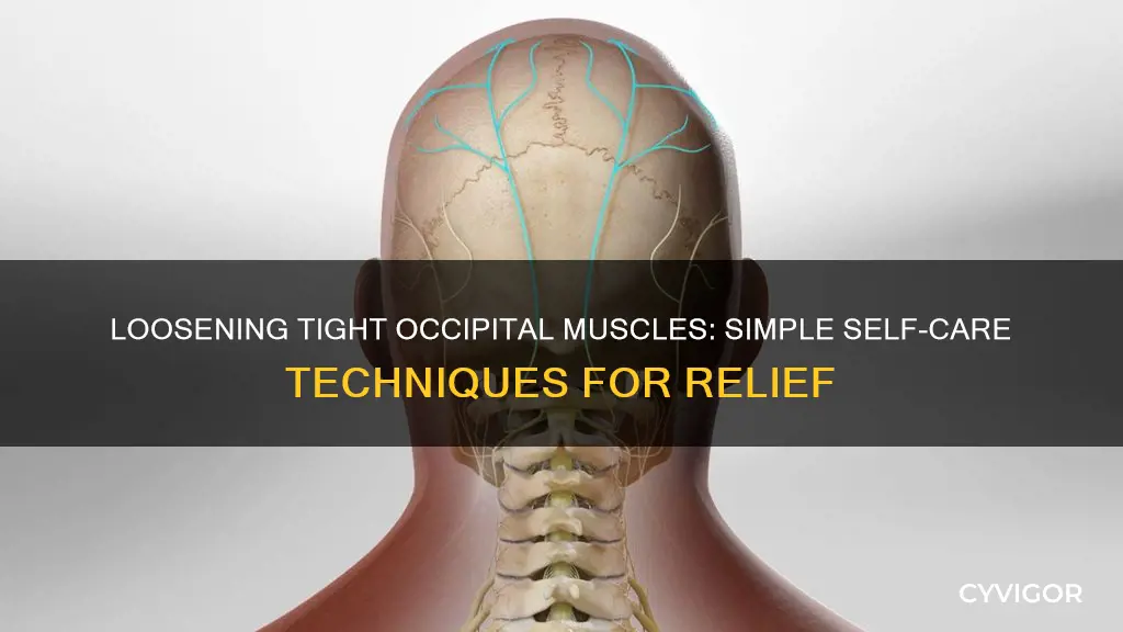 how to loosen occipital muscles