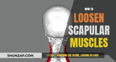 Loosening Tight Scapular Muscles: Simple Techniques for Quick Relief