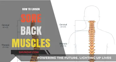 Effective Techniques to Relieve and Loosen Sore Back Muscles Fast