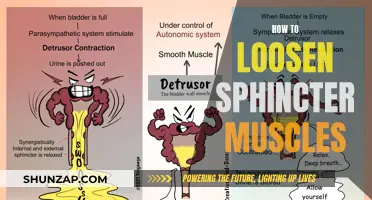 Relaxing Sphincter Muscles: Tips and Tricks for Loosening Up