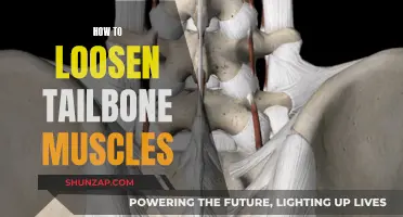 Loosening Your Tailbone Muscles: Techniques for Relief