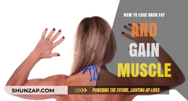 Effective Strategies to Shed Back Fat and Build Lean Muscle
