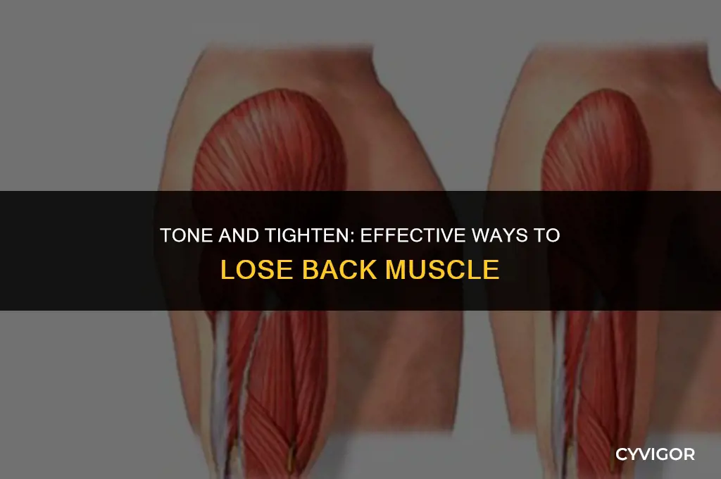 how to lose back muscle