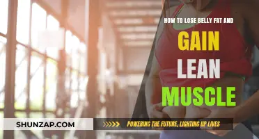 Effective Strategies to Shed Belly Fat and Build Lean Muscle