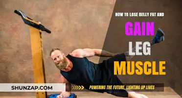 Sculpt Your Core, Strengthen Your Legs: Effective Strategies for a Toned Body