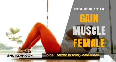 Effective Strategies for Women to Lose Belly Fat and Build Muscle