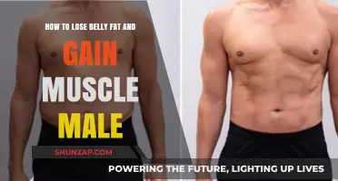 Effective Strategies for Men to Lose Belly Fat and Build Muscle